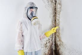 Why You Should Choose Our Mold Remediation Services in Tioga, TX